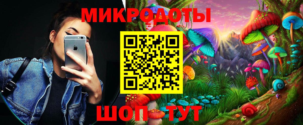 Галлюциногенные грибы Psilocybe Тулун