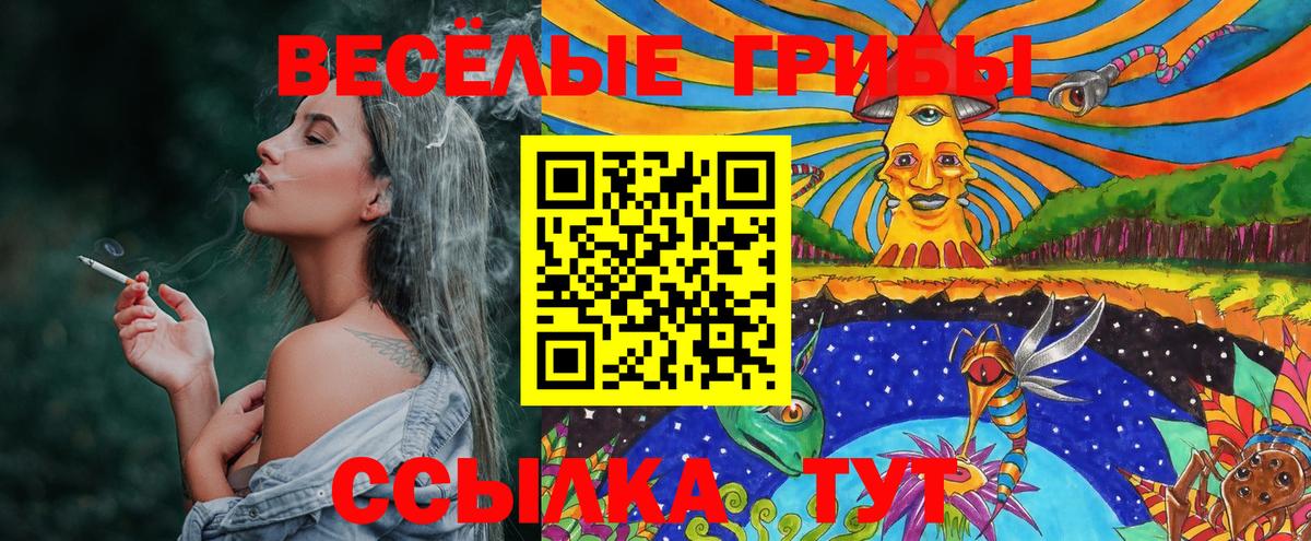Тулун  Псилоцибиновые грибы MAGIC MUSHROOMS  наркотики  Вход с VPN 